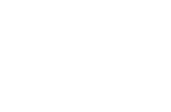 Wt Wt